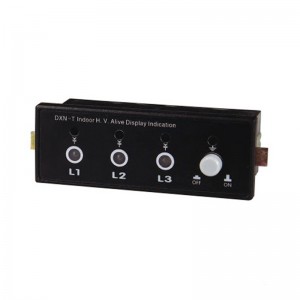 Indoor High voltage DXN Live display indicator